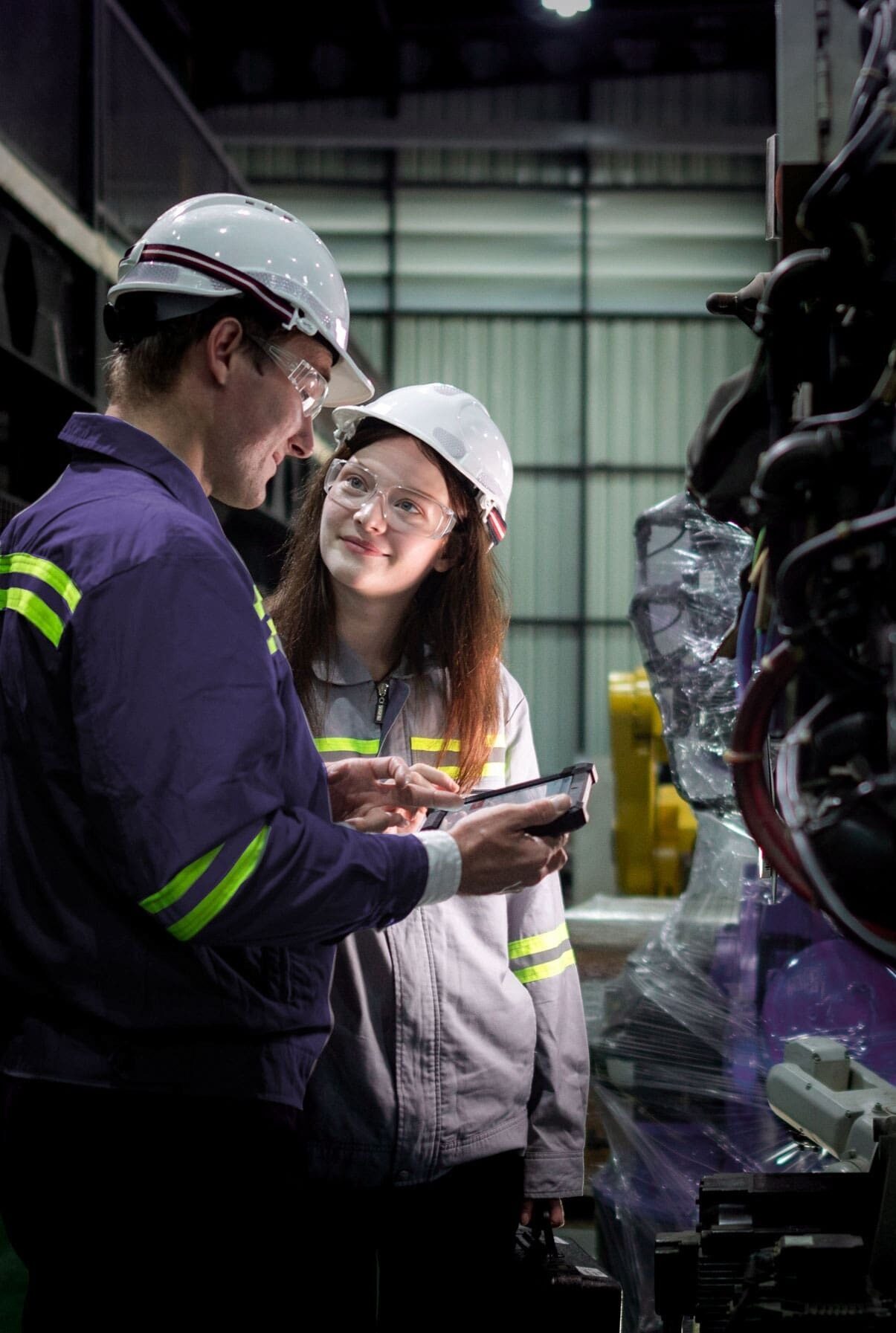 EOSYS Imagery 31 NEXT 1